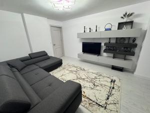 TV a/nebo společenská místnost v ubytování Apartament Acasă în Bucovina