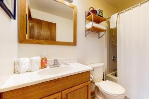 a bathroom with a sink and a toilet and a mirror at Spacious Mountain Retreat in Ludlow +18 photos