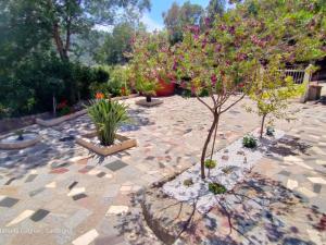 un jardin avec des arbres et des fleurs sur une terrasse en pierre dans l'établissement Villa Doxina by Interhome, à Solanas