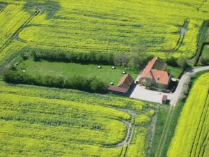 una vista aérea de una granja en un campo en Haus im Felde, en Fehmarn