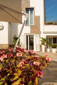 Gallery image of La Cicas Case Vacanze in Marina di Ascea +49 photos