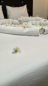 Letto o letti in una camera di Plaza View Hostel