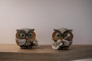 a couple of owls sitting on a wooden shelf at Appartement Design Centre Résidence Historique avec Parking in Amiens +29 photos