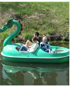 Hosté ubytování Brand New Lake Norman Home Pool & Hot Tub