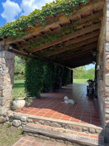 a dog laying on a brick patio under a wooden pergola at Quinta lo de Dito in Villa Allende