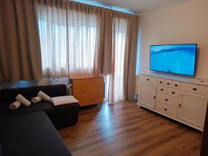 ein Wohnzimmer mit Couch und Flachbildfernseher in der Unterkunft Ático Montblanc Zona Baja in Sierra Nevada