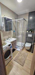 Un baño de Green Hill Isidorovic Divcibare ll