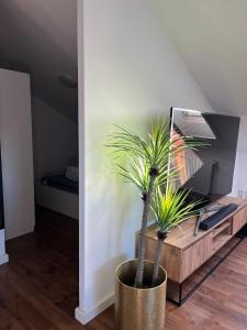 TV a/nebo společenská místnost v ubytování Moderne & stilvolle Wohnung klimatisiert - Messe & Flughafen München