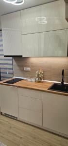 Una cocina o cocineta en Green Hill Isidorovic Divcibare ll