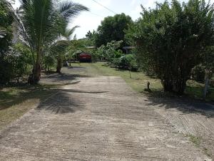 Φωτογραφία από το άλμπουμ του Noukatchimbe Bungalow avec piscine partagée pour 2 à 4 personnes σε Le Marin