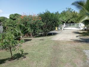 Φωτογραφία από το άλμπουμ του Noukatchimbe Bungalow avec piscine partagée pour 2 à 4 personnes σε Le Marin