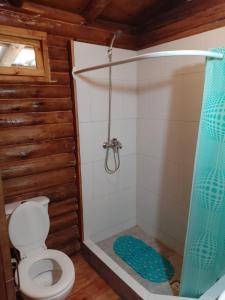 a bathroom with a toilet and a shower at La exclusiva in Cosquín