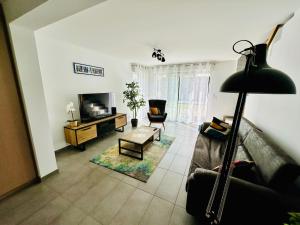 a living room with a couch and a tv at Appartement comme une Maison in Ingersheim