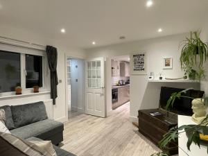 Η κουζίνα ή μικρή κουζίνα στο St Leonards Contemporary Courtyard Apartment +5 φωτογραφίες
