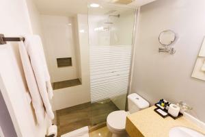 Un baño con ducha, inodoro y lavabo. en Brion City Hotel BW Signature Collection, en Willemstad