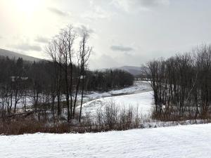 a snow covered field with trees and a river at COZY LOON MOUNTAIN ESCAPE - Free shuttle, Pool, Hot tub, River&Mnt Views in Lincoln
