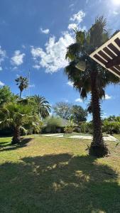 two palm trees in a park with a blue sky at La casa quinta de Camino in Gualeguaychú +27 photos