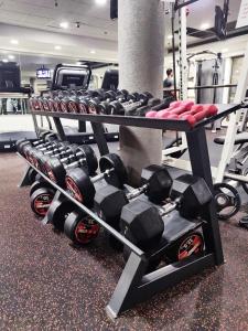 Fitness centrum a/nebo fitness zařízení v ubytování Garden House By IsrApart