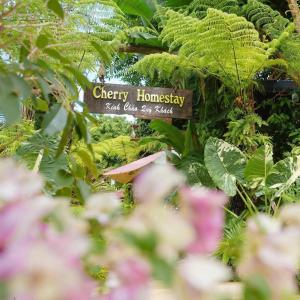 a sign in a garden with plants and flowers at Cherry homestay bmt phòng đôi gia đình in Buôn Ðũng