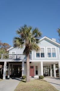 una palmera delante de una casa en Tybee Seaside Beach House - 2BR 2 BA, en Tybee Island