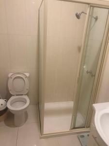 a bathroom with a shower with a toilet and a sink at Dynamic 1 in Melbourne