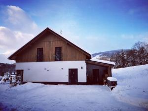 Villa in Krkono e with Sauna and Forest Views v zimě