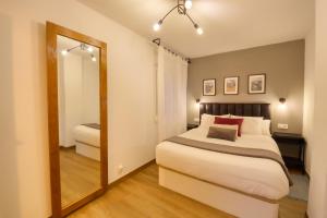 a bedroom with a large bed and a mirror at Apartamentos en Gascona Centro de Oviedo Apartastur26 in Oviedo