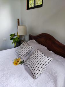 Φωτογραφία από το άλμπουμ του Quinta 24 de Junio σε Guácimo +15 φωτογραφίες