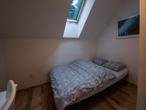 Postel nebo postele na pokoji v ubytování Villa in Ore Mountains near Ski Areal Kliny