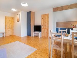 Sjónvarps- og/eða afþreyingartæki á Villa in Desná near Ski Resorts