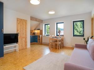 Sjónvarps- og/eða afþreyingartæki á Villa in Desná near Ski Resorts