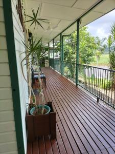 Rõdu või terrass majutusasutuses Daintree Riverview Lodges