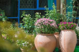 Vrt pred nastanitvijo Lijiang Hearing Flower Hall Garden Inn Butterfly Language Shop