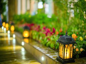 Vrt pred nastanitvijo Lijiang Hearing Flower Hall Garden Inn Butterfly Language Shop