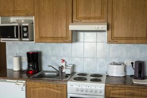Kuchyň nebo kuchyňský kout v ubytování Holiday Apartment Pikk
