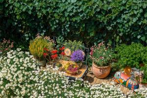 Taman di luar Lijiang Hearing Flowers Hall Flowerless B&B
