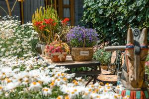 Taman di luar Lijiang Hearing Flowers Hall Flowerless B&B
