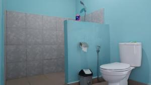 a bathroom with a white toilet and a blue wall at Embun Rinjani Homestay in Senaru