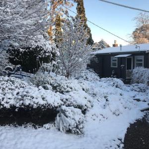 un patio cubierto de nieve frente a una casa en Maisie's Cottage, en Mount Victoria