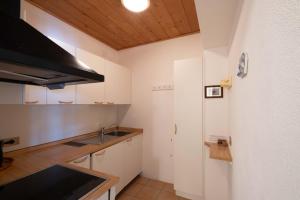 Kuchyň nebo kuchyňský kout v ubytování Residence Salvan