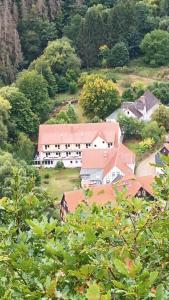 Příroda nedaleko hotelu