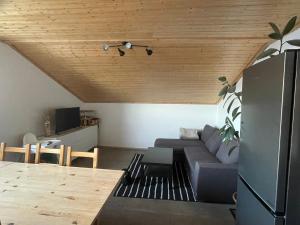 TV a/nebo společenská místnost v ubytování Apartmán Čížci Horní Maršov