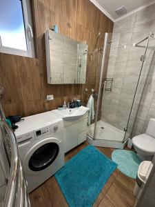 a bathroom with a washing machine and a shower at Чотири стихії in Mizhhirʼʼya +51 photos