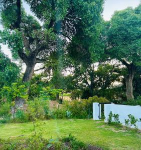Zahrada ubytování Stellenbosch Farm Studio Apartment + 19 fotografií