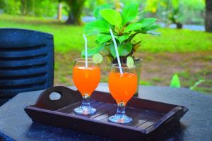 deux verres de jus d'orange sur un plateau sur une table dans l'établissement Pepper Garden Cottage, à Uda Walawe