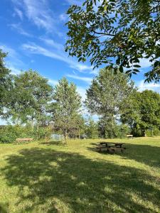 Appartement Business Lyon nord Gare & A6 في Saint-Germain-au-Mont-dʼOr: حديقة مع طاولة نزهة على العشب