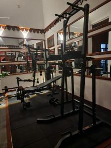 Fitness centrum a/nebo fitness zařízení v ubytování Domore Lifestyle + 37 fotografií