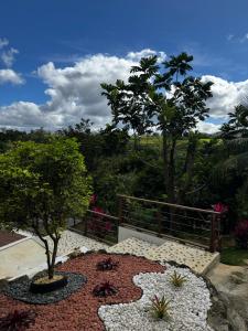 a view of a garden with a tree in the middle at La Casita Amarilla en Utuado, Puerto Rico in Utuado