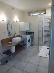 ein Badezimmer mit Waschbecken und Waschmaschine in der Unterkunft Aux rives du lac in Villefranche-de-Panat + 3 Fotos