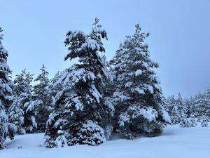 Fotografie z fotogalerie ubytování Aparan Park v destinaci Zovuni + 63 fotografií